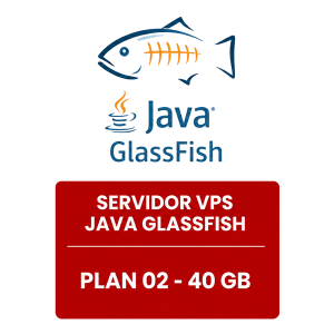Servidor VPS Java Glassfish 40 GB